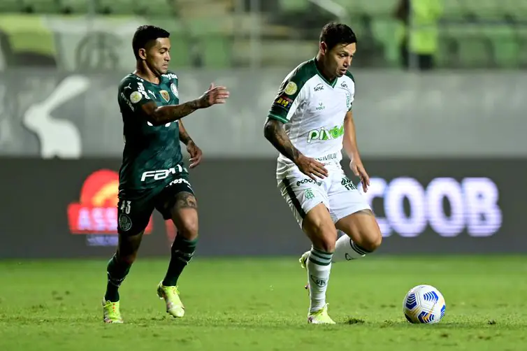 Palmeiras x América Mineiro - Campeonato Brasileiro