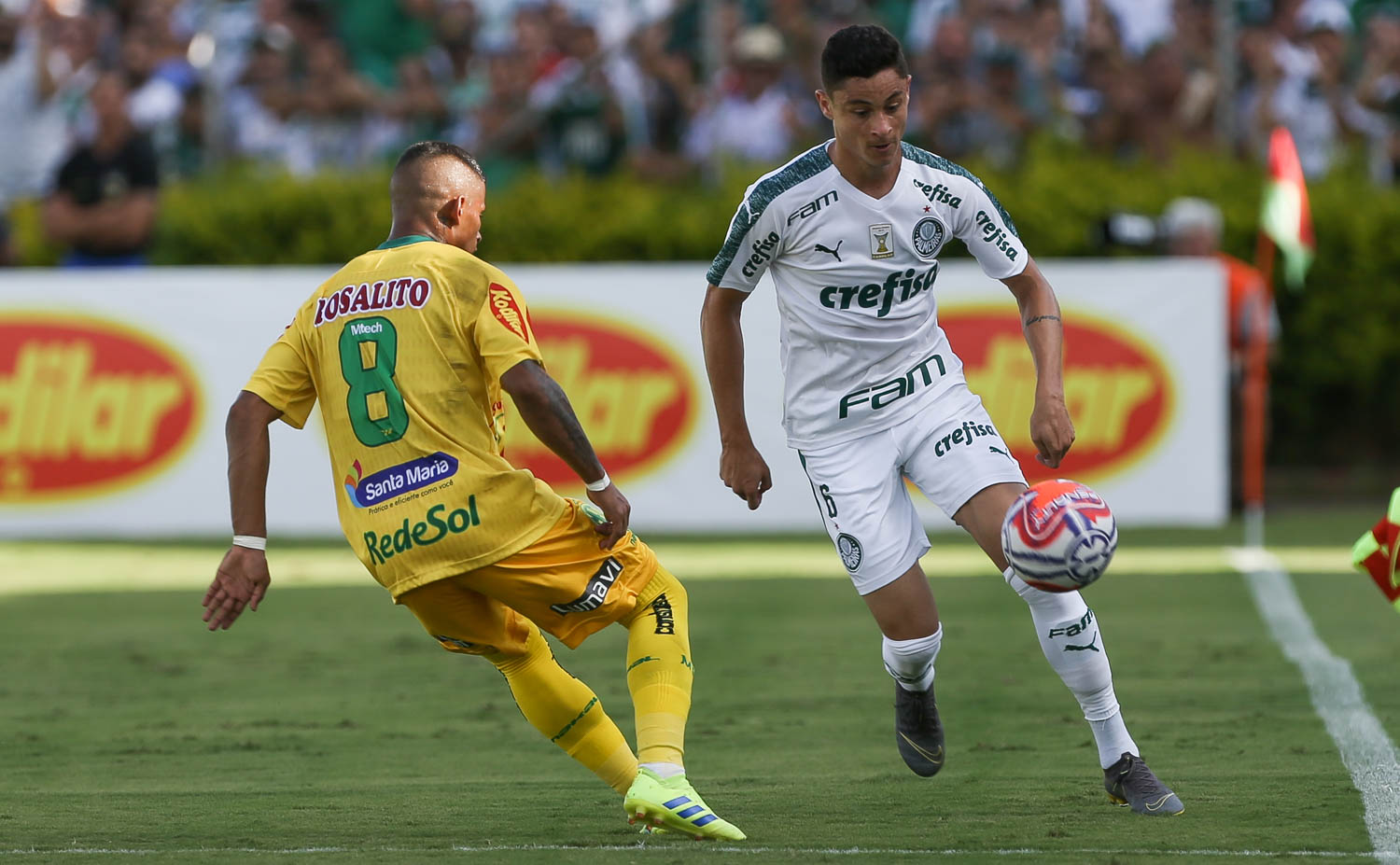 Mirassol x Palmeiras - Verdão tenta assumir a liderança geral no interior paulista