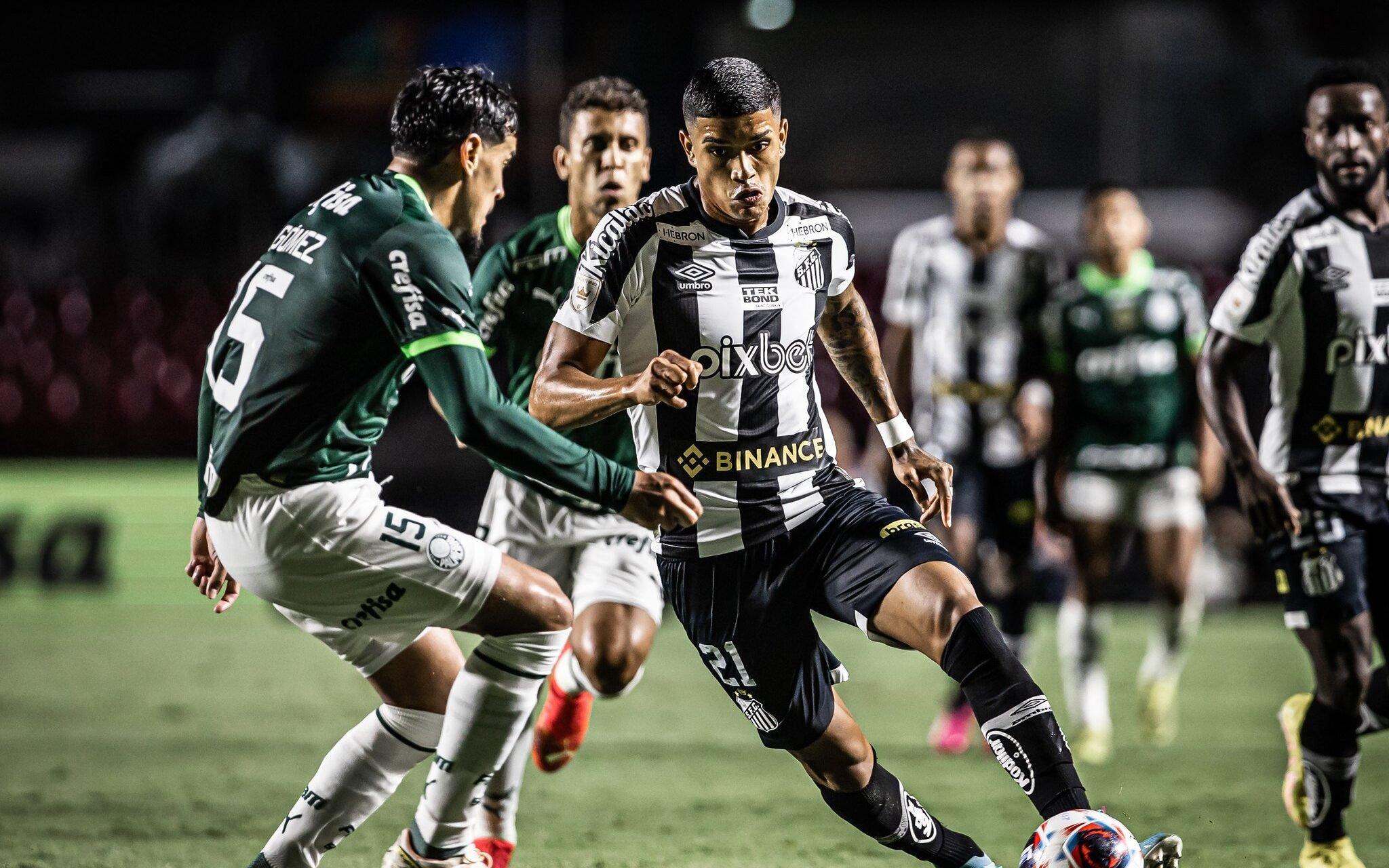 Santos encara o Palmeiras em clássico na Vila Belmiro