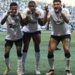 Botafogo vence o Palmeiras fora de casa e dispara na liderança