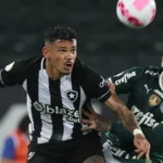 Duelo dos líderes coloca Palmeiras e Botafogo frente a frente pelo Brasileirão