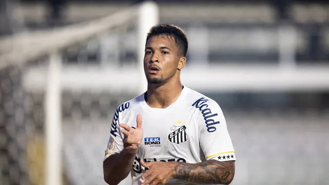 Marcos Leonardo comemora gol do Santos contra o Botafogo