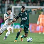 Palmeiras x Goiás - Escalações e tudo sobre o duelo pelo Campeonato Brasileiro